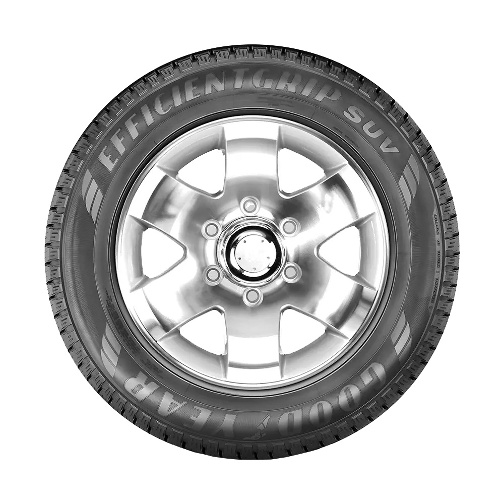 Imagem destaque de PNEU 205/65R16 95H EFFICIENTGRIP SUV GOODYEAR